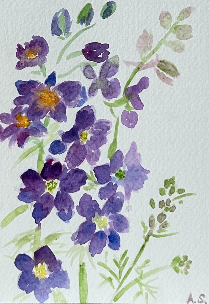 Delphinium