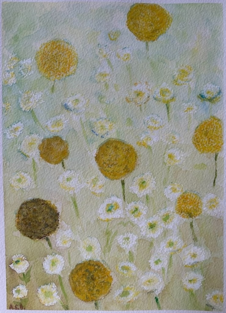 Flower field with Yellow Craspedia