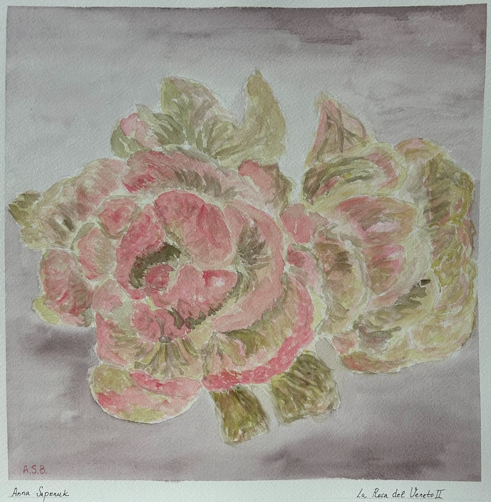 La Rosa del Veneto II