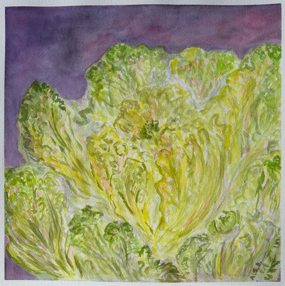 Napa Cabbage on Purple