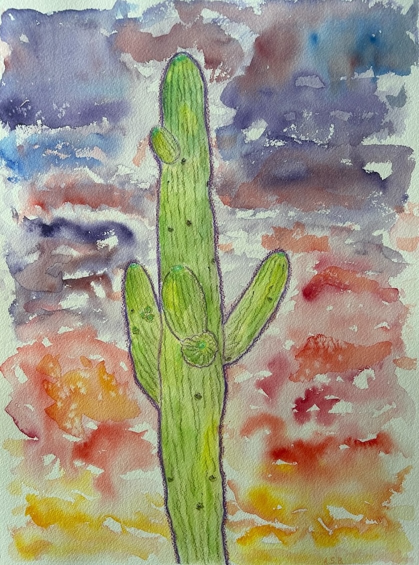 Saguaro at Sunset