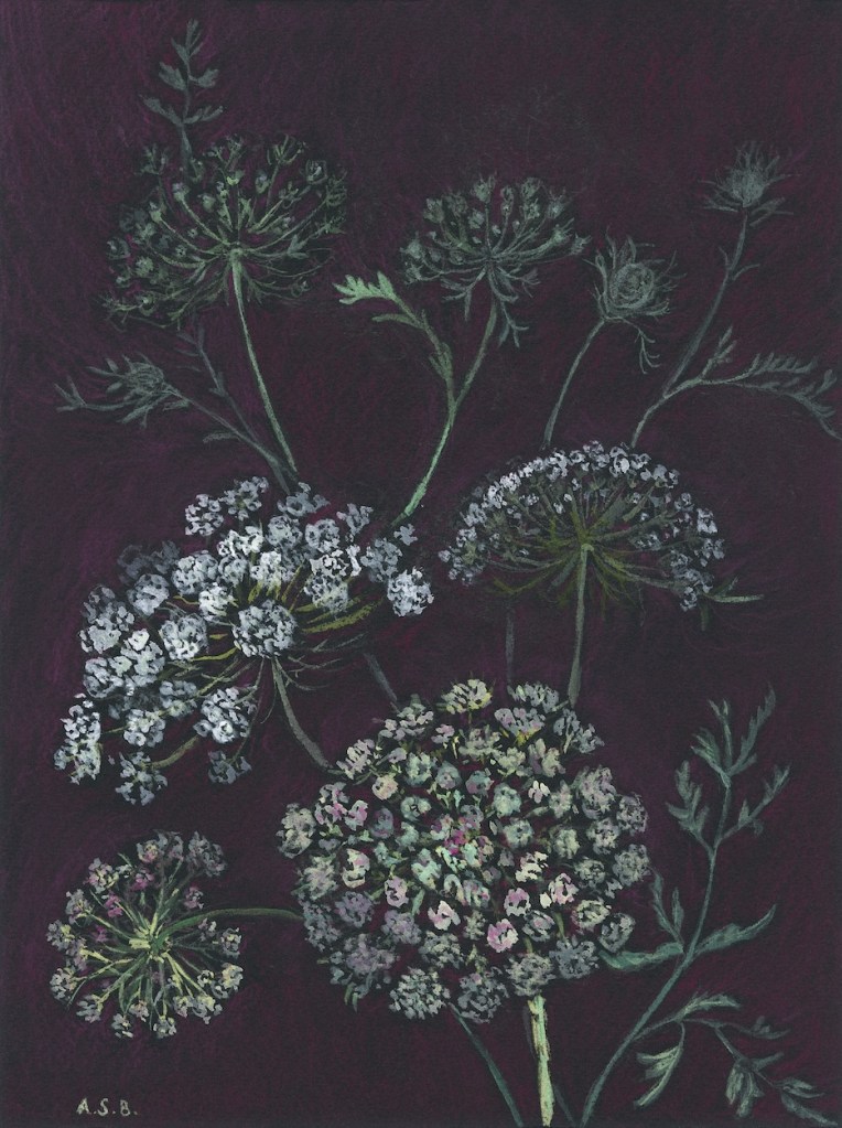 Lace Flowers on Black