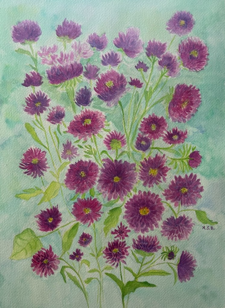 Summer Asters