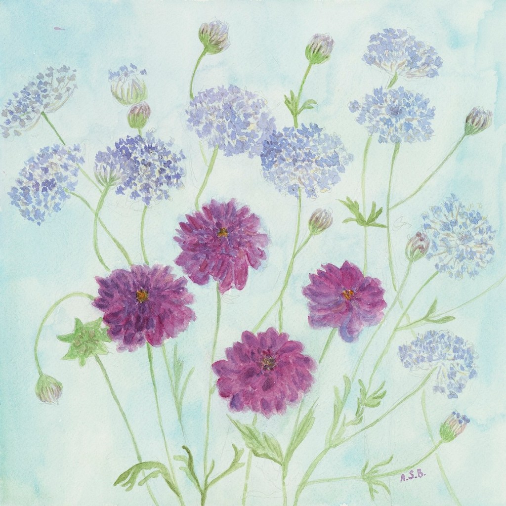 Dahlias And Blue Lace