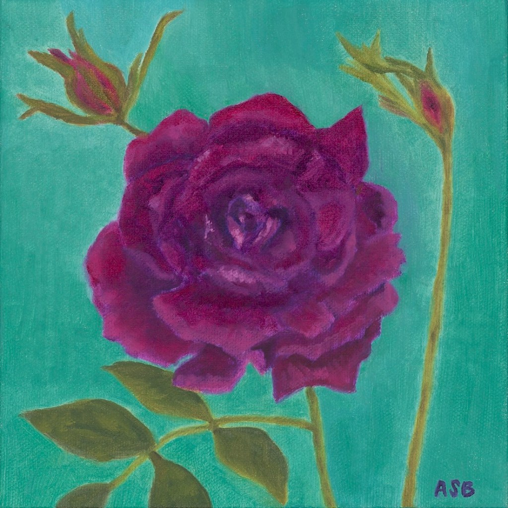 Magenta Rose