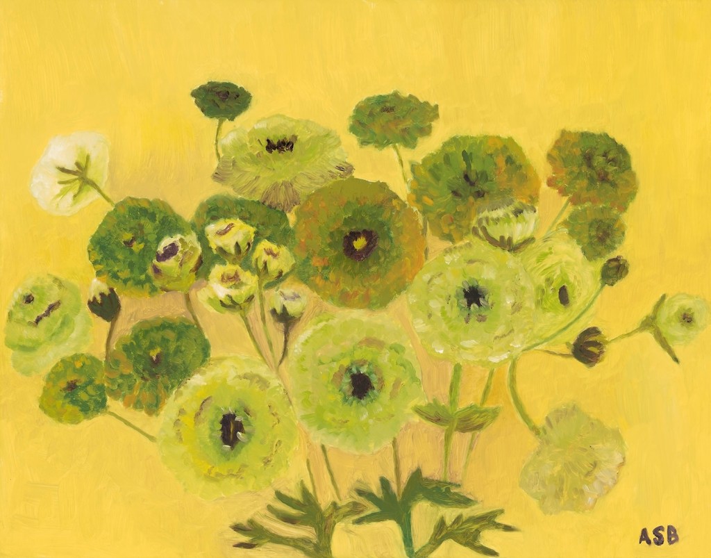 Ranunculus On Yellow