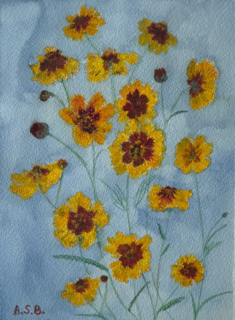 Swaying Coreopsis